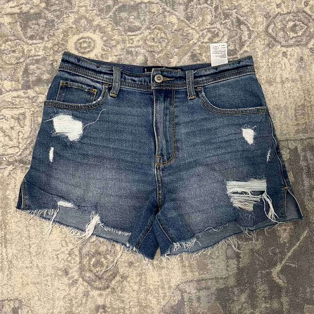 Hollsiter high-rise vintage shorts
